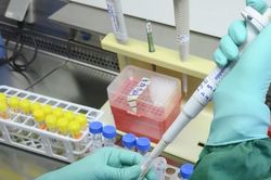 TPHCM truy tìm biến thể mới của Omicron, cảnh báo lây lan dịp lễ Tết
