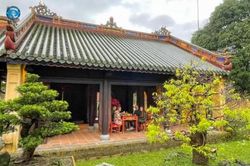 Dịch vụ du lịch Mở tour thưởng trà kết hợp tham quan Đại Nội Huế