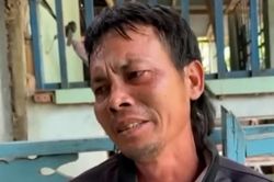Cha bé Hạo Nam gửi gắm tâm nguyện sau khi dần chấp nhận sự thật con trai đã ra đi mãi mãi