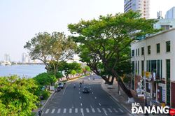 Thành quả từ 15 năm xây dựng thành phố môi trường