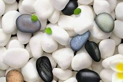 Quý tử và nghịch tử