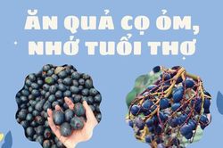 Trở về tuổi thơ với quả cọ ỏm: 'Gây sốt' cộng đồng mạng, cả năm chỉ có một mùa