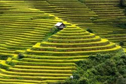 Ngắm những ngôi nhà 'không có hàng xóm' độc đáo nhất thế giới