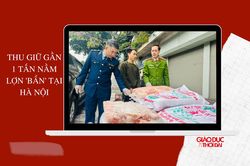 Hà Nội phát hiện, thu giữ gần 1 tấn nầm lợn 'bẩn'