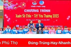 Tỉnh đoàn tổ chức 'Xuân sẻ chia-Tết yêu thương'