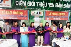 Kinh tế Nông nghiệp - Nông thôn Thêm một cửa hàng giới thiệu sản phẩm OCOP và các sản phẩm chủ lực của Quảng Điền