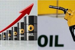 Giá xăng dầu hôm nay 9/1: Cập nhật giá xăng dầu trong nước, quốc tế