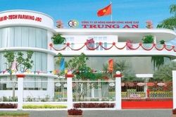 Nông nghiệp công nghệ cao Trung An bị phạt và truy thu gần 4 tỷ đồng tiền thuế