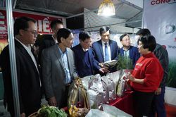 Thái Bình khai mạc hội chợ Xuân 2023