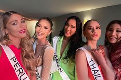 Miss Universe 2022 kiểm tra lý lịch hơn 80 người đẹp dự thi