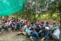 Cận Tết, 2 người nuôi tôm đứng ra tổ chức đá gà ăn tiền