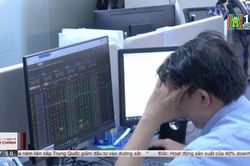 Gần 2,6 triệu tài khoản chứng khoán mở mới trong năm 2022
