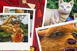 Linh vật Tết 2023: Nhiều ứng cử viên mới nhập cuộc, ngôi vương thuộc về mèo Bến Tre!