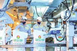 Năm 2023, PVCFC tập trung cung ứng tối đa trong nước và đẩy mạnh xuất khẩu