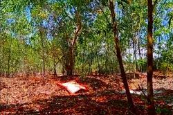 Hai vợ chồng trẻ tử vong bất thường trong rẫy