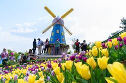Tây Ninh: Nhiều trải nghiệm thú vị tại Sun World Ba Den Mountain