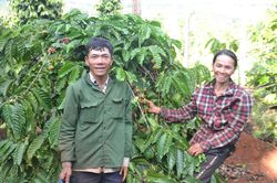 Làm giàu nhờ ý chí và nghị lực