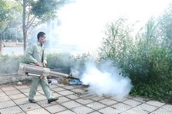 Số ca sốt xuất huyết giảm mạnh
