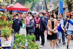 Chợ hoa Hàng Lược nhộn nhịp những ngày cận Tết Nguyên đán 2023