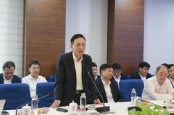 Công ty Điện lực Lào Cai đảm bảo cung cấp điện an toàn, ổn định phục vụ phát triển kinh tế - xã hội