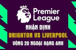 Nhận định trận đấu giữa Brighton vs Liverpool, 22h00 ngày 14/1 - Ngoại hạng Anh