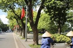 Dự báo thời tiết đêm nay và ngày mai (13-14/1): Hà Nội, Bắc Bộ, Bắc Trung Bộ đêm trời rét, sáng sương mù; Nam Bộ đêm mưa vài nơi; cả nước ngày nắng