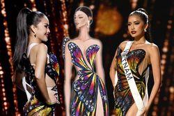 Chuyện gì thế này: 'Hiệu ứng của bướm' bị Missosology loại khỏi Top 15 Best Evening Gown