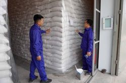 Xuất cấp gần 5 nghìn tấn gạo hỗ trợ nhân dân 5 tỉnh dịp Tết Nguyên đán Quý Mão 2023