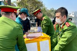 Cá chép tiễn ông Táo 'lên xe cảnh sát' Hà Nội ra sông Hồng