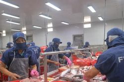 Phải gỡ được thẻ vàng thủy sản trong vòng 6 tháng tới