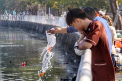 Hình ảnh người dân Thủ đô thả cá chép trong Tết ông Công, ông Táo
