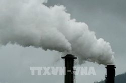 Chủ tịch COP28 khuyến nghị về giảm khí thải