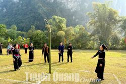Trò chơi đánh yến ngày xuân