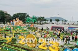Bình Định: Gia đình nhà mèo du xuân đón tết