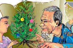 Cây bách xanh mang màu hạnh phúc
