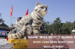 Ngắm 'Miss Mèo' ở Quảng Trị được cộng đồng mạng tặng 'mưa lời khen'