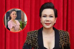 Giữa ồn ào Dương Cẩm Lynh bị tẩy chay, Việt Hương bức xúc lên tiếng: 'Triệt đường sống lấy đâu ra tiền'
