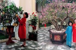 Ý nghĩa của các phong tục ngày Tết cần giáo dục cho trẻ nhỏ