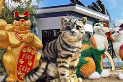 Cộng đồng mạng rần rần với những linh vật mèo gây sốt của các tỉnh thành khắp Việt Nam