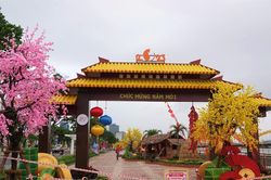 Độc đáo đường hoa xuân Đà Nẵng