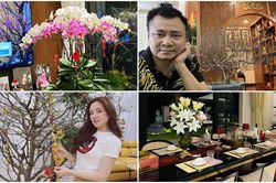 Phạm Hương, Quốc Trường và sao Việt trang hoàng mai, đào 'khủng' đón Tết