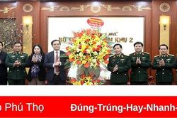 Phó Chủ tịch UBND tỉnh Nguyễn Thanh Hải chúc Tết Bộ Tư lệnh Quân khu 2