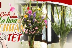 Cách cắm hoa ngày Tết bền, đẹp