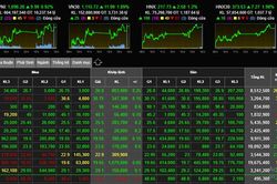 Phiên áp Tết: Cổ phiếu tỷ phú Phạm Nhật Vượng tăng mạnh, VN-Index lên sát 1.100 điểm