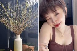 Sao Việt 'mất ăn mất ngủ' vì sát Tết tuyết mai chưa nở hoa
