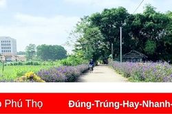 Tô thắm sắc Xuân