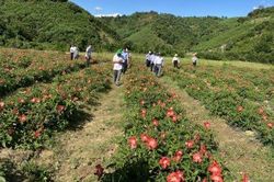Kinh tế Nông nghiệp - Nông thôn A Lưới: Tổng vốn đầu tư toàn xã hội đạt 950 tỷ đồng