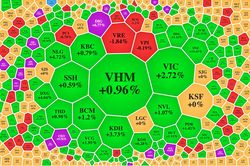 VN-Index tiến sát ngưỡng 1.100 điểm, bộ ba CEO - DIG - L14 cùng tăng trần