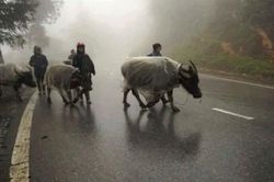 Các tỉnh thành miền Bắc chìm trong giá lạnh, miền Trung có mưa