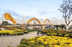 Đường hoa xuân tại Đà Nẵng khoe sắc đón Tết Quý Mão